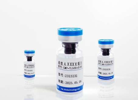 Vitronectin