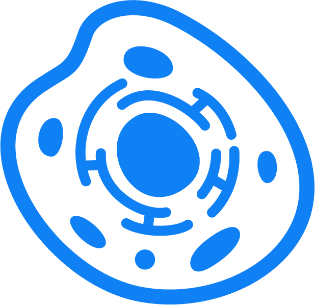 ϸ