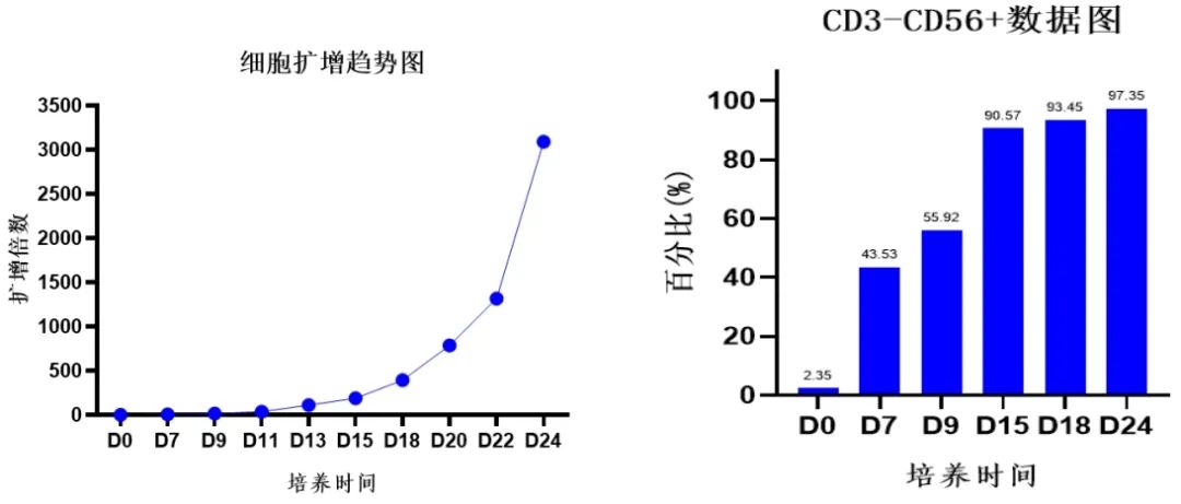24죬16700ڣNKϸ¼¼NKϸװ3.0