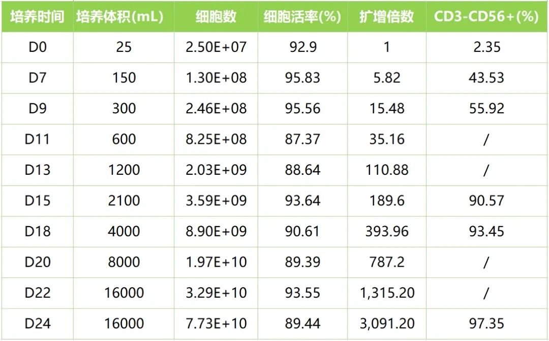 24죬16700ڣNKϸ¼¼NKϸװ3.0