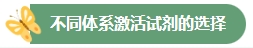 -ƱCAR-TϸʵѵӪʻعˡ